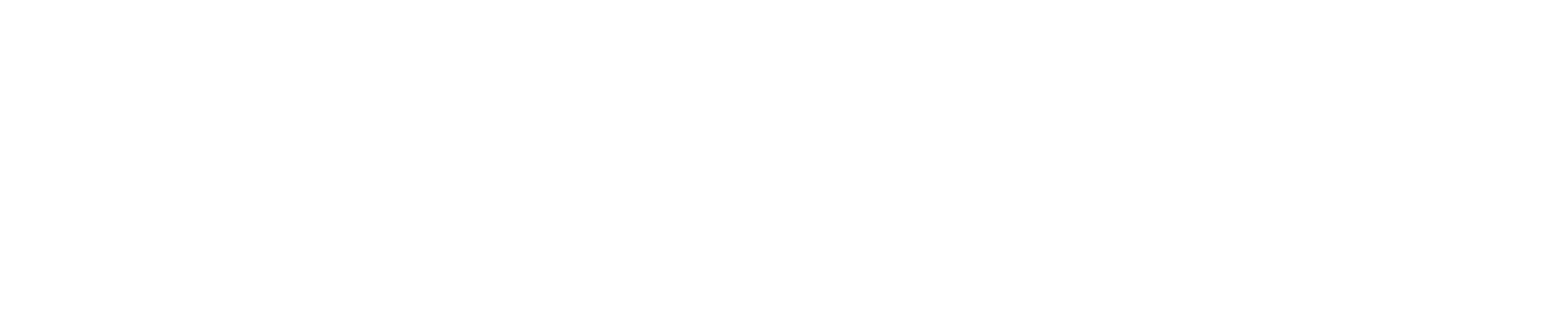 Careship™